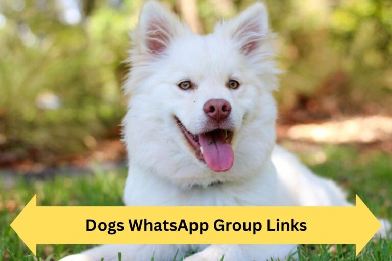 Dogs WhatsApp Group Links